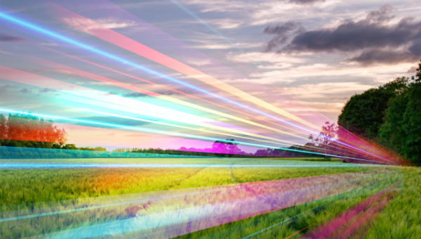 Help Dorset Council Provide Feedback About Poor Broadband in Rural Dorset Locations